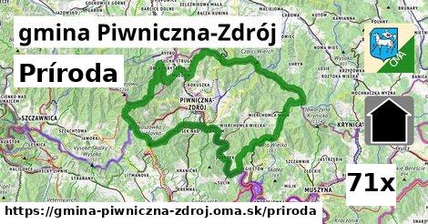 príroda v gmina Piwniczna-Zdrój