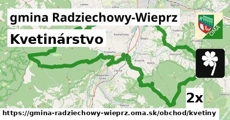 Kvetinárstvo, gmina Radziechowy-Wieprz