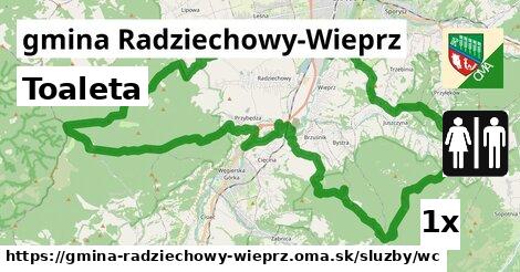 Toaleta, gmina Radziechowy-Wieprz