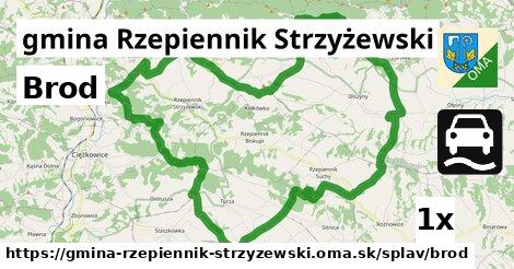 Brod, gmina Rzepiennik Strzyżewski