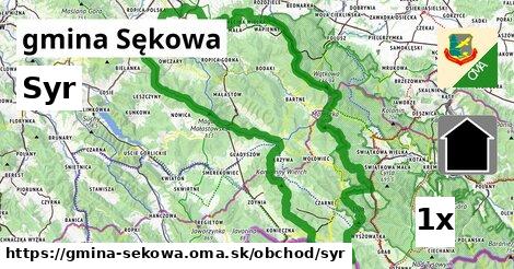 Syr, gmina Sękowa