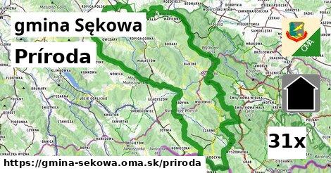 príroda v gmina Sękowa