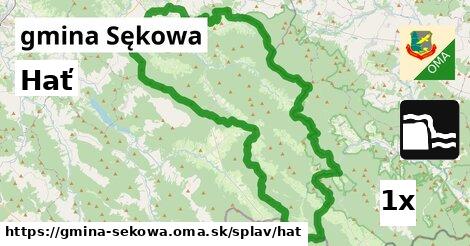 Hať, gmina Sękowa