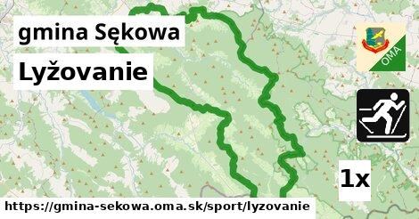 Lyžovanie, gmina Sękowa
