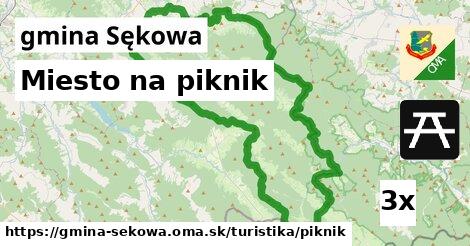 miesto na piknik v gmina Sękowa