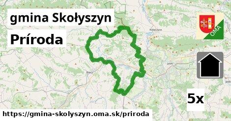 príroda v gmina Skołyszyn