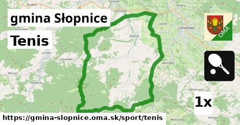Tenis, gmina Słopnice