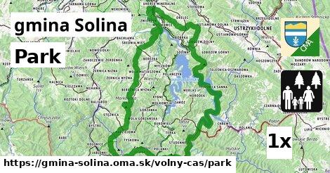 Park, gmina Solina