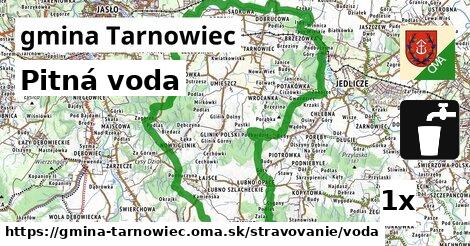 Pitná voda, gmina Tarnowiec