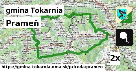 Prameň, gmina Tokarnia