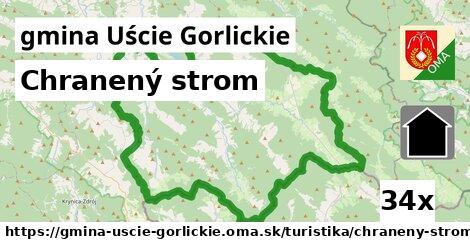 Chranený strom, gmina Uście Gorlickie