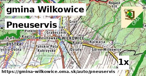 Pneuservis, gmina Wilkowice