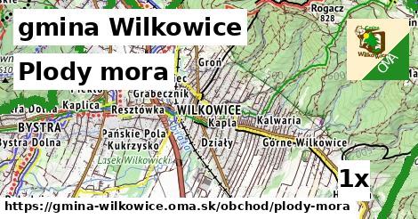 Plody mora, gmina Wilkowice