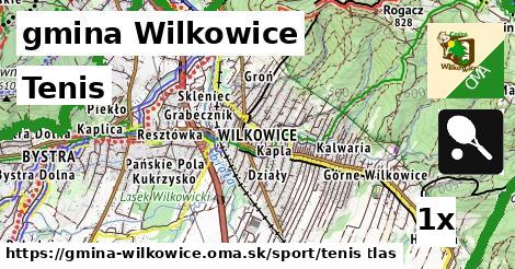Tenis, gmina Wilkowice