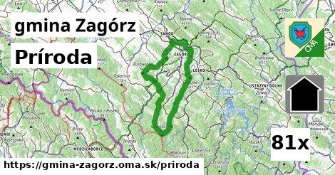 príroda v gmina Zagórz