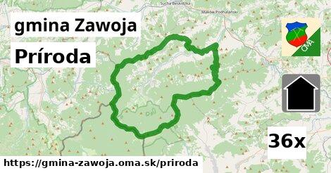 príroda v gmina Zawoja