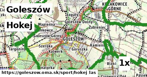 Hokej, Goleszów