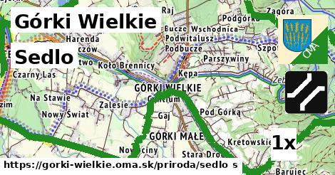 sedlo v Górki Wielkie