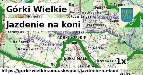 jazdenie na koni v Górki Wielkie