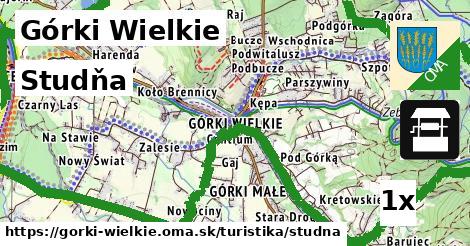 Studňa, Górki Wielkie