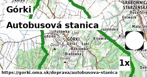 autobusová stanica v Górki