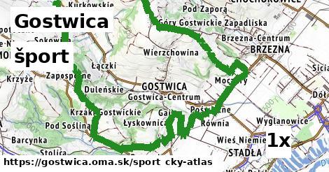 šport v Gostwica