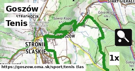 tenis v Goszów