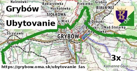 ubytovanie v Grybów