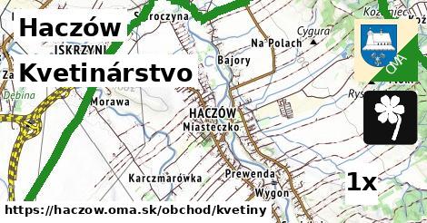 kvetinárstvo v Haczów