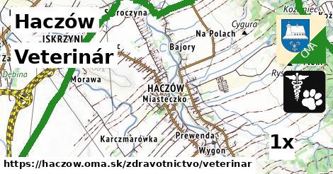 Veterinár, Haczów