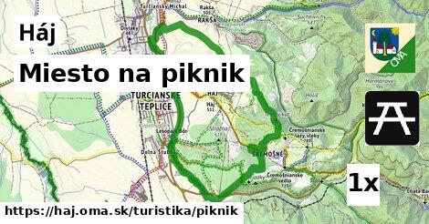 Miesto na piknik, Háj