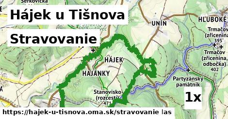 stravovanie v Hájek u Tišnova