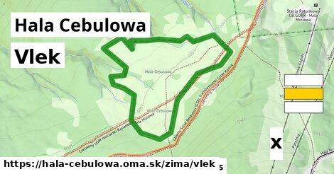 Vlek, Hala Cebulowa