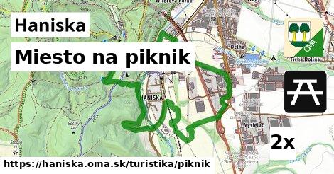 Miesto na piknik, Haniska