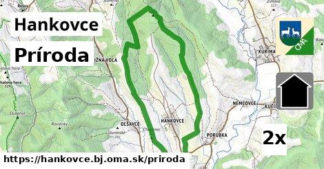 príroda v Hankovce, okres BJ