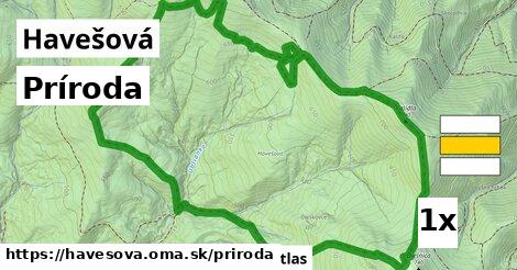 príroda v Havešová