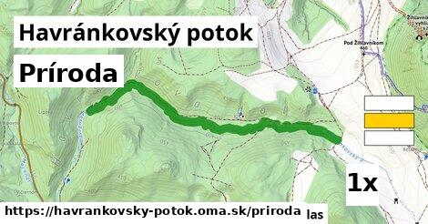 príroda v Havránkovský potok