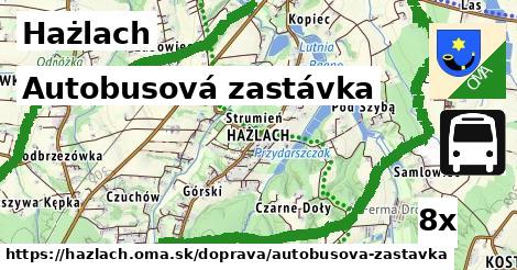 Autobusová zastávka, Hażlach