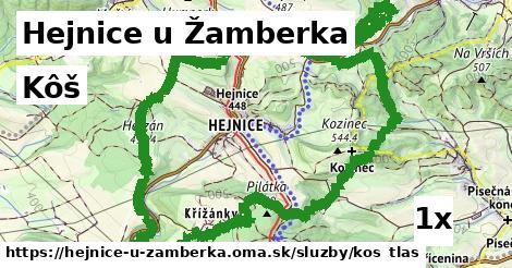 Kôš, Hejnice u Žamberka