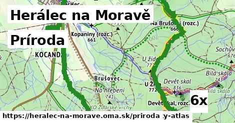 príroda v Herálec na Moravě