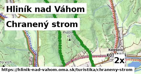 Chranený strom, Hliník nad Váhom