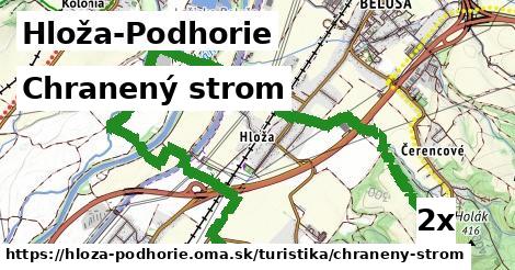 Chranený strom, Hloža-Podhorie