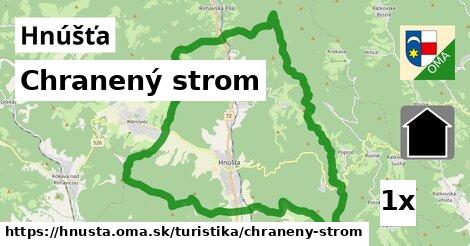 Chranený strom, Hnúšťa