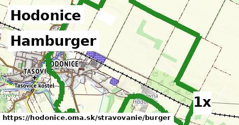 Hamburger, Hodonice