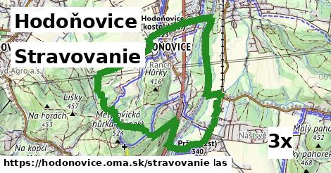 stravovanie v Hodoňovice