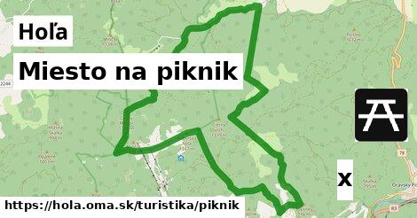 Miesto na piknik, Hoľa