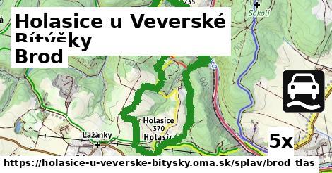 brod v Holasice u Veverské Bítýšky