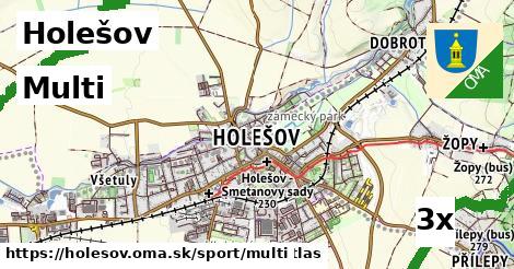 Multi, Holešov