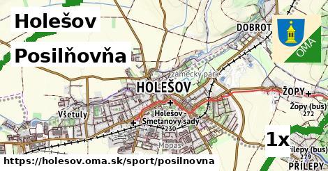 posilňovňa v Holešov