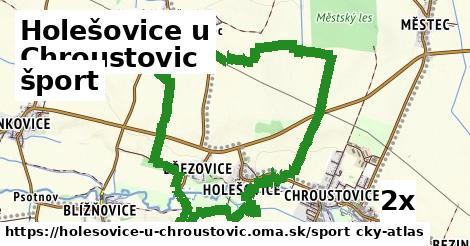 šport v Holešovice u Chroustovic